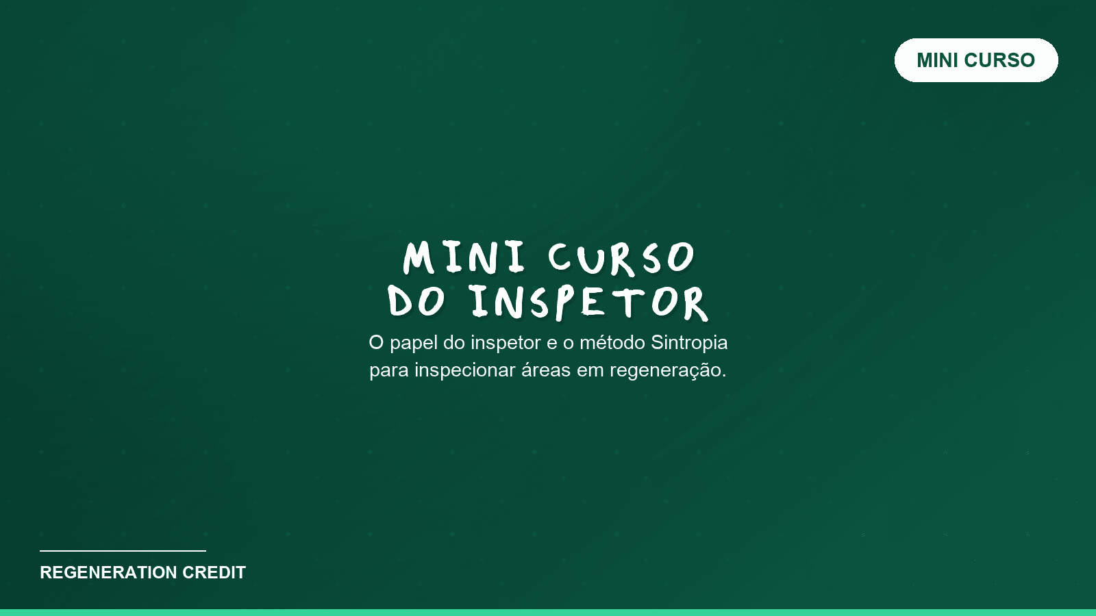 Mini curso do Inspetor