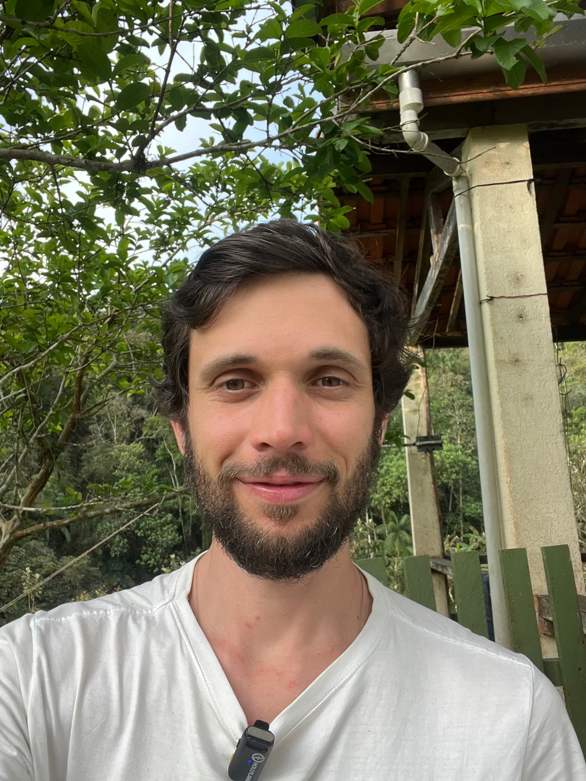 Imagem de destaque do artigo Lançamento do Crédito de Regeneração